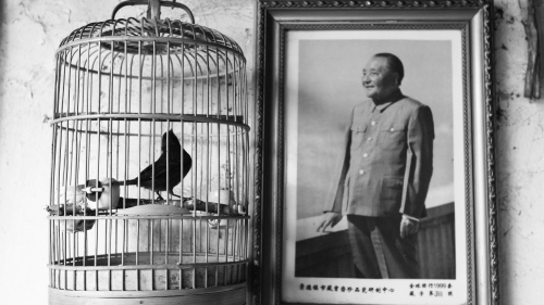 上世纪60年代至80年代末，邓小平曾7次遭暗杀。