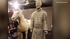 兵马俑美国展出美男子窃取拇指被捕(图)