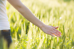 科學證實靈魂不滅(圖)