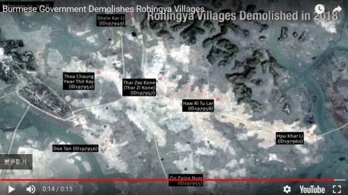 人權觀察表示，近幾個月來，自衛星圖像顯示，緬甸當局於若開邦北部，將超過55座羅興亞村莊夷成平地