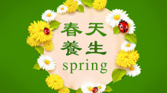 春天吃菠菜養肝血喝蓮子粥補脾健胃(視頻)