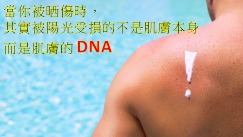 当你被晒伤时，其实被阳光受损的不是肌肤本身，而是肌肤的DNA。