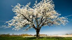 现代科学所难以解释的奇梦(图)