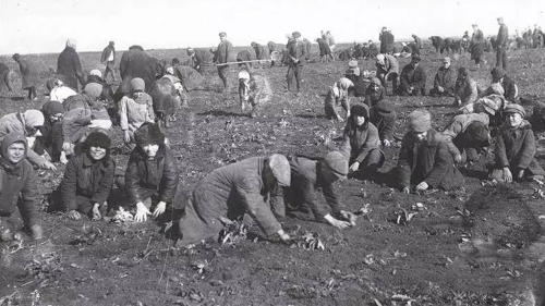 1930年，蘇共在一個月內剝奪20萬富農財產，實行農業集體化，農民家產包括雞鴨和日用品全部充公。