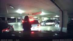 華女為倒車「肉身擋車」被嗆：「別給華人丟臉」(視頻)