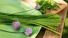 它是3月第一菜血管心臟的最愛(圖)