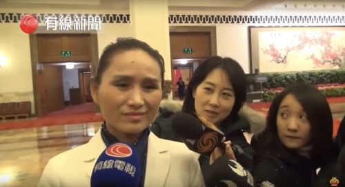 國家三級演員的湖南人大代表杜美霜稱習近平當選時，感到一股熱浪。