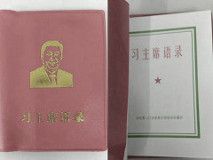 又是誰的餿主意中國小學課本現「習語錄」(組圖)