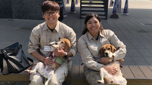 蒙斯特農研的防治專員黃紹銘（左）表示，紅火蟻偵測犬可協助在日本的進出口貨櫃進行初期偵測，減少防治紅火蟻的人力和成本。