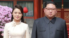 金正恩秘密北京行真正目的是什麼(圖)