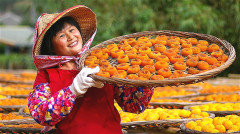 每天吃一點降血脂降血糖治療尿酸和痛風(圖)