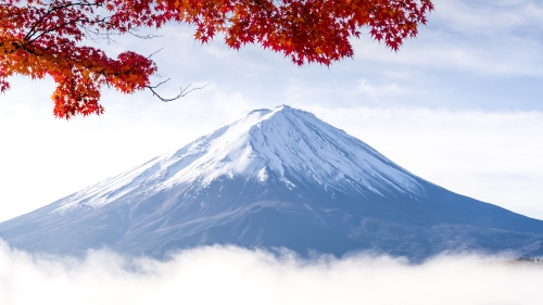 富士山是聯合國教科文組織認定的世界遺產。