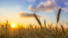 河北「瘋婆婆」的預言神奇應驗(圖)