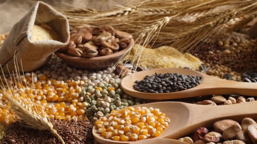 全粒穀物和豆類在長壽老人的飲食中佔很大比重。