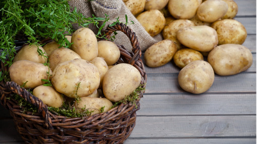 土豆實際上是非常健康和富含營養的食物。