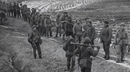 韓戰中被俘的中共志願軍。（圖片來源：視頻截圖）