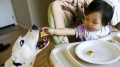 “妈妈你能看到吗”被你抛弃后我在美国很幸福(组图)