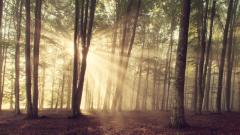 德國商人找到前世自己居住的地方(图)