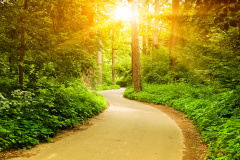 六道轮回真的存在吗如何证明有前世(图)