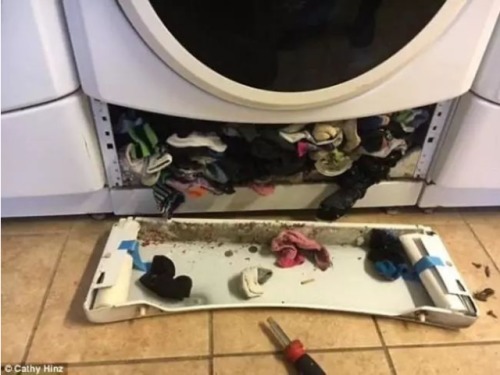 袜子都被吃掉了！她拆开洗衣机后发现惊人真相
