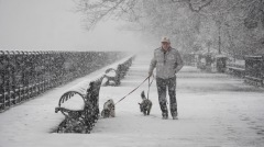 紐約迎來四月雪美東北中部地區秒回冬天(圖)