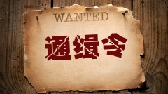 欠627亿遭台通缉却成为大陆缴税大户(图)