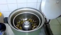 一個空碗竟能收集到「蜆精」實在太神奇了(圖)