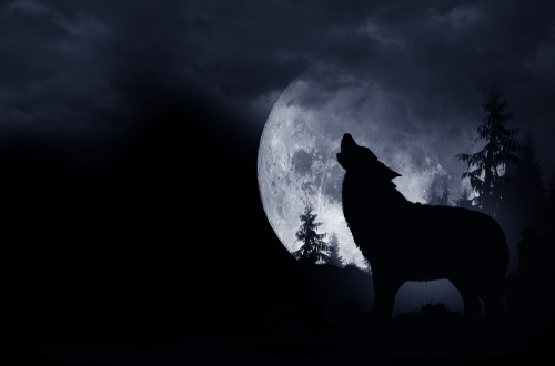 狼群养大的“狼人”对人性的丑陋相当失望