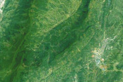 四川蒙頂山神奇巨型图案“仙客神麟”(图)