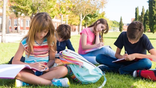美國小學生的一個小組在室外學習。
