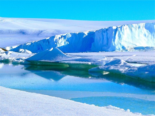 極端生命現身南極鹽水湖