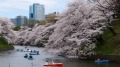 不把日本當一回事是愚蠢的(圖)