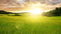 紀曉嵐閱微草堂筆記：邪不侵正老學究(圖)