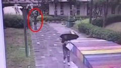 北京女搭「滴滴」被跟蹤司機：想要她微信(圖)