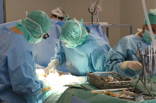 器官移植手术示意图（图片来源：Adobe Stock）