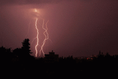 傻子为救孩子泄露天机引来雷霆之劫(图)