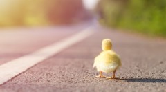 當年兩小夥互換了車票5年後人生大不同(組圖)