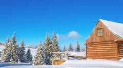 冰天雪地芬兰可爱小邻居上门求救(视频)