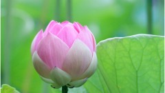 看看优秀的人都具备哪些品质(图)