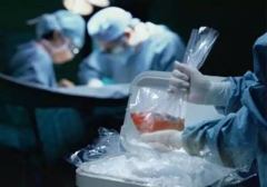 打擊非法器官移植加拿大參議院舉辦聽證會(圖)