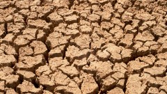 長江中下游現40年最嚴重干旱廈門63天幾乎沒下雨(圖)