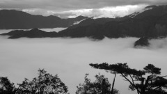 臺灣人的幻覺(圖)