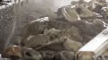 餐厅回收牡蛎壳取之海湾回归海湾(视频)