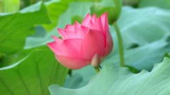 古人修身养性的五大智慧(图)