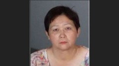 美國華人保姆引網友眾怒恐將面臨16年刑期(組圖)