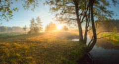 三個不可思議的輪迴轉生故事(圖)