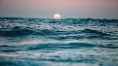 我所知道的史前文明：美人魚種族傳奇(圖)