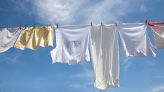 太實用了衣服染上什麼用這招都能洗掉(圖)