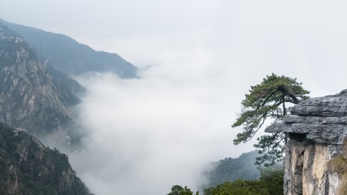 江西廬山龍首崖風景區孤懸空中，形如龍首，是觀雲海的好地方。