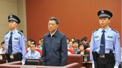 神秘人物引天津政壇塌方牽出多省政商圈內幕(圖)